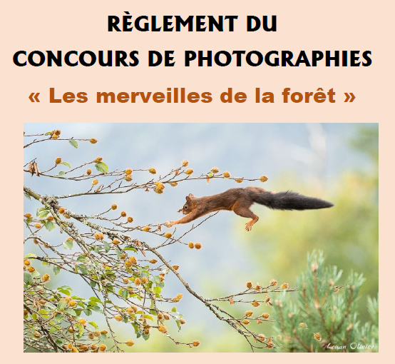 Ville De Remiremont Uncategorized Reglement Concours Photo Illus
